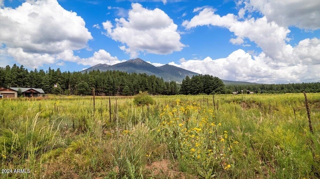 9290 Ranch At The Peaks Way Unit 12, Flagstaff AZ, 86001 land for sale