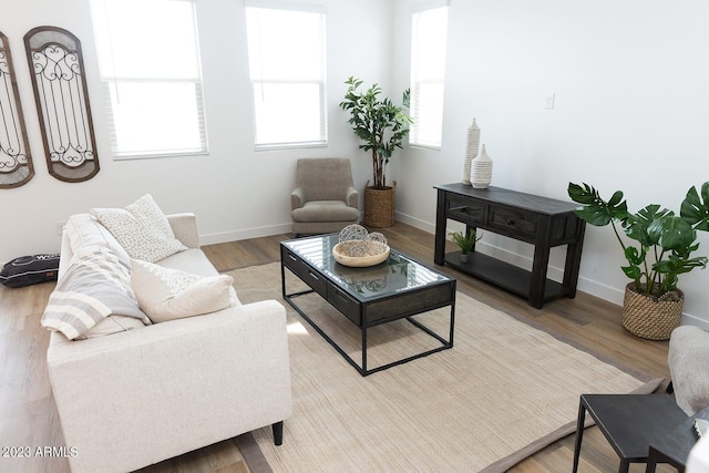 living room featuring light hardwood / wood-style flooring