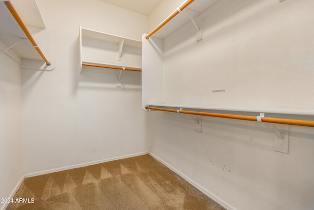 spacious closet featuring carpet flooring