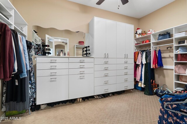 2285 E Mead Dr, Gilbert, AZ 85298 - spacious closet featuring carpet and a ceiling fan