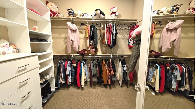 2285 E Mead Dr, Gilbert, AZ 85298 - walk in closet featuring carpet floors