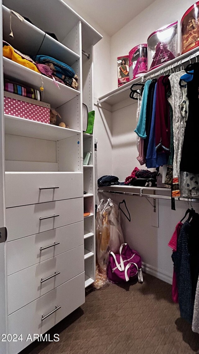 spacious closet with dark carpet