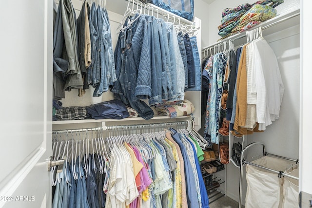 view of spacious closet