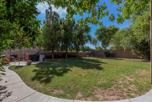 view of yard with a patio