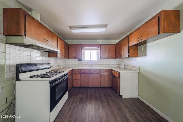 1614 S 6th Ave, Phoenix, AZ 85003 - kitchen featuring gas stove, under cabinet range hood, a sink, dark wood-style flooring, and light countertops