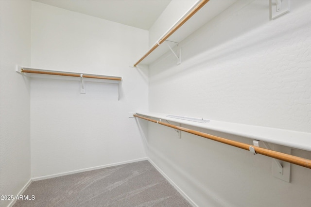 spacious closet featuring carpet