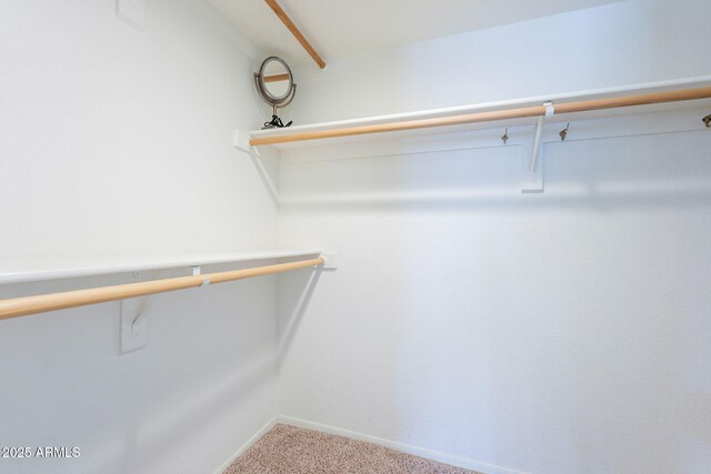 9128 W Kimberly Way, Peoria, AZ 85382 - spacious closet with carpet floors