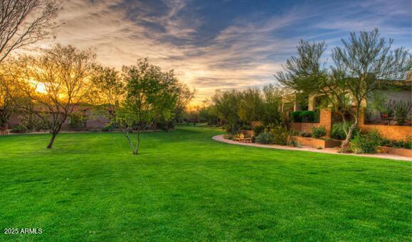 view of yard at dusk