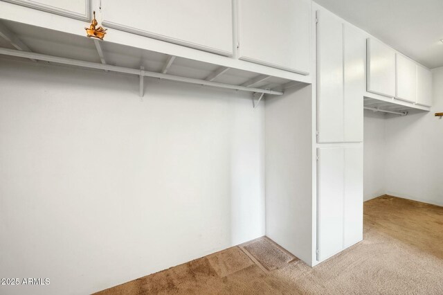 2235 W Mendiburo Way, Prescott, AZ 86305 - spacious closet featuring light carpet