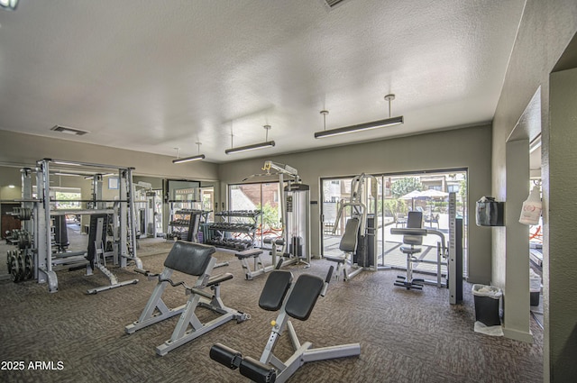 3600 N Hayden Rd Unit 2310, Scottsdale, AZ 85251 - exercise room featuring carpet floors, healthy amount of natural light, and a textured ceiling