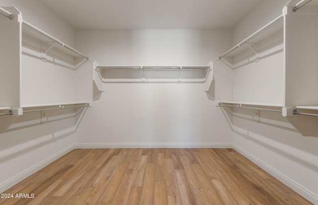 spacious closet featuring light hardwood / wood-style flooring