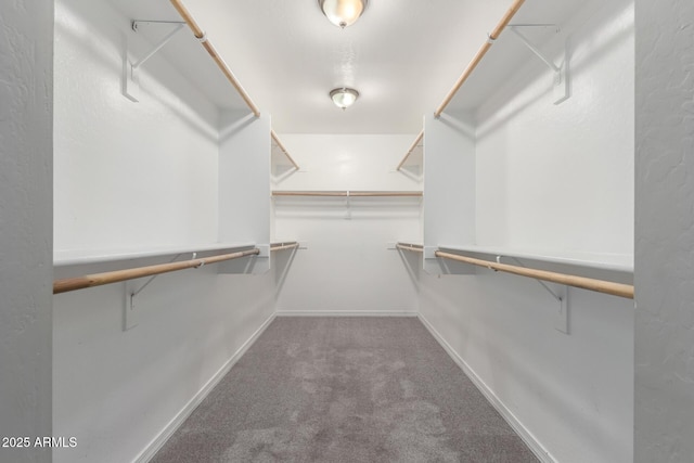2000 N 36th St Unit 19, Phoenix, AZ 85008 - spacious closet with carpet flooring