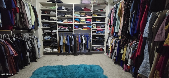 spacious closet featuring carpet