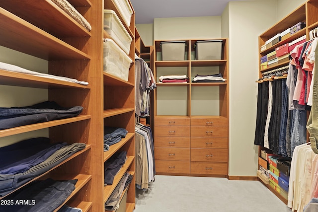 walk in closet with light colored carpet