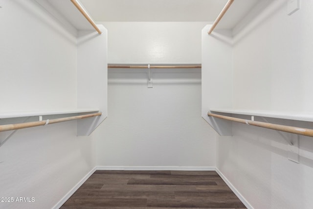 spacious closet featuring dark hardwood / wood-style flooring