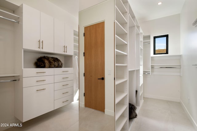 view of spacious closet