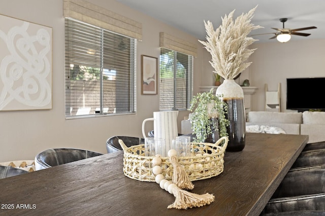 dining space featuring plenty of natural light and ceiling fan