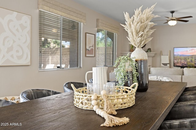 dining space featuring ceiling fan