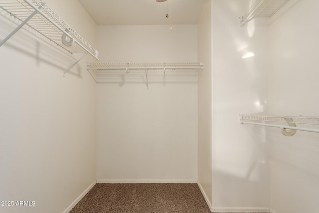 spacious closet with carpet