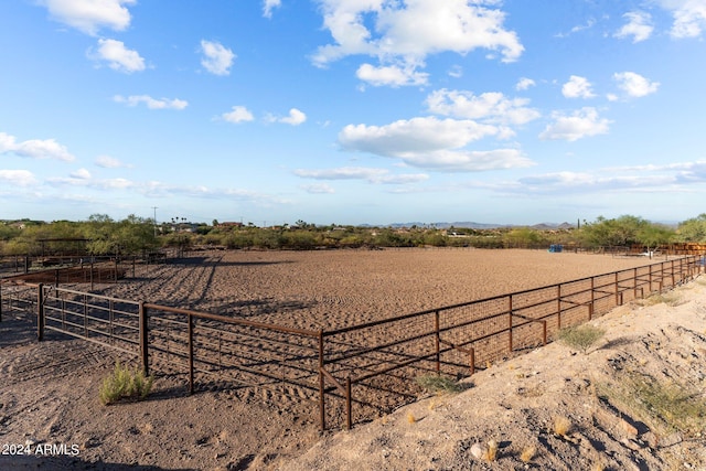 view of yard with a rural view