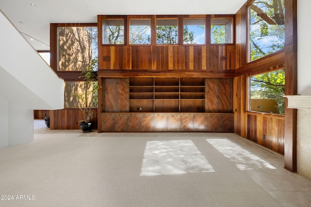 foyer entrance featuring light carpet, wooden walls, and a healthy amount of sunlight