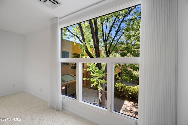 room details featuring carpet floors