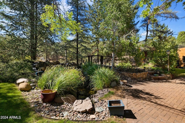 view of yard with a patio area