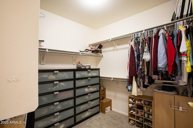 spacious closet featuring light carpet