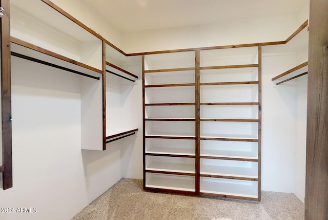 walk in closet with light carpet