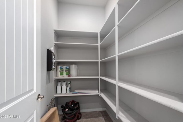 5771 W Cinder Brook Way, Florence, AZ 85132 - view of storage area