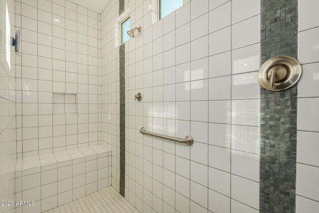 5771 W Cinder Brook Way, Florence, AZ 85132 - bathroom featuring a tile shower