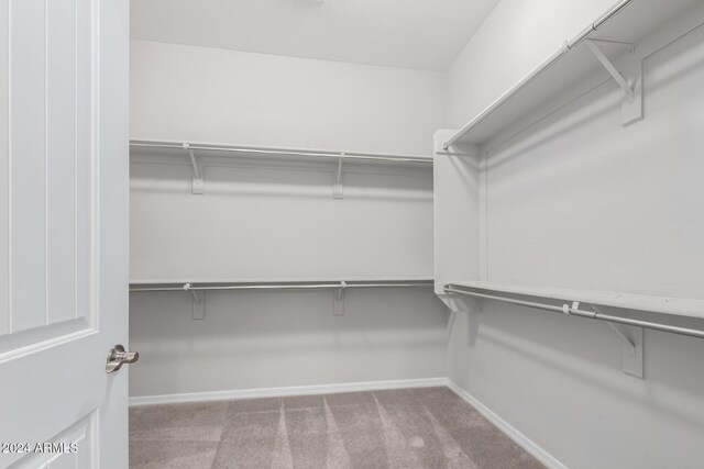5771 W Cinder Brook Way, Florence, AZ 85132 - walk in closet with carpet floors