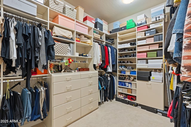 spacious closet featuring light carpet