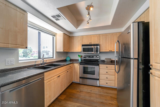 kitchen with dark wood-type flooring, sink, light brown cabinets, a tray ceiling, and stainless steel appliances