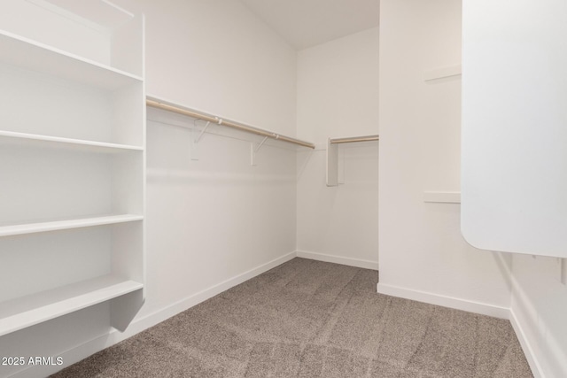 walk in closet with carpet flooring