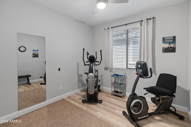 workout area with ceiling fan and hardwood / wood-style floors