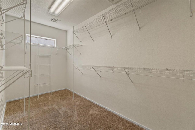 walk in closet with carpet and visible vents