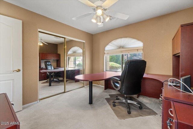 office with ceiling fan and light colored carpet
