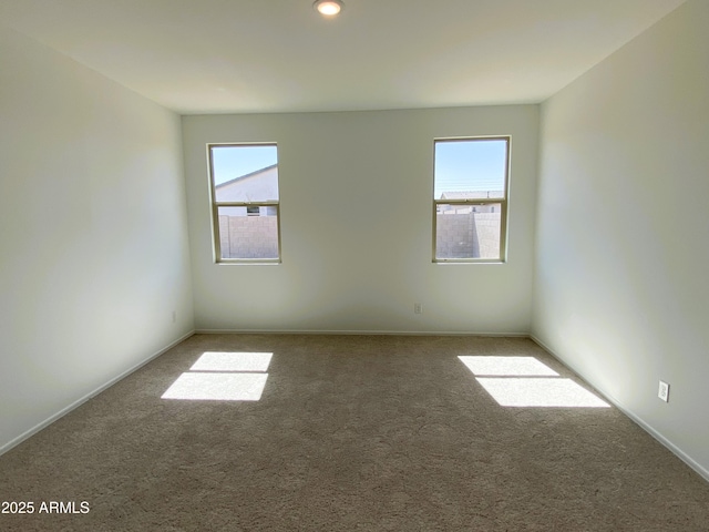 spare room with a wealth of natural light and carpet