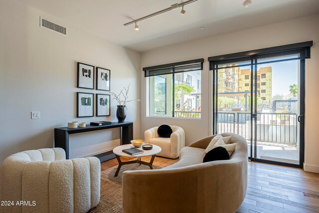 living room featuring light hardwood / wood-style flooring and rail lighting