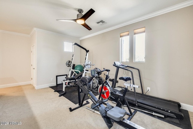 exercise room with visible vents, crown molding, baseboards, carpet floors, and a ceiling fan