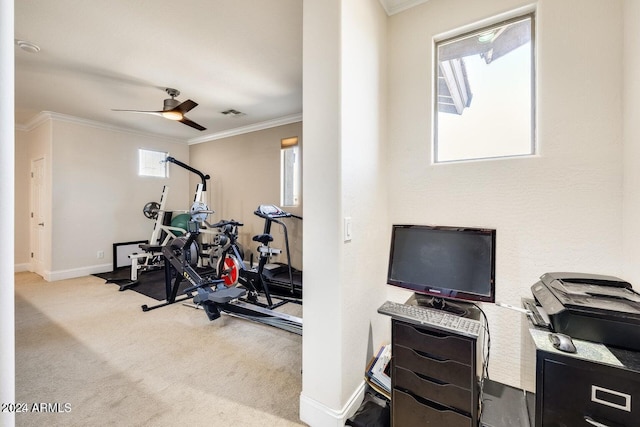 exercise area with a ceiling fan, baseboards, visible vents, crown molding, and carpet flooring