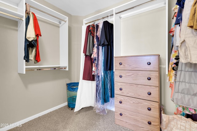 925 W San Marcos Dr, Chandler, AZ 85225 - spacious closet with carpet floors