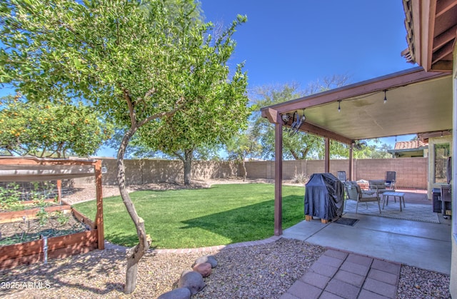 view of yard featuring a garden, a patio area, and a fenced backyard