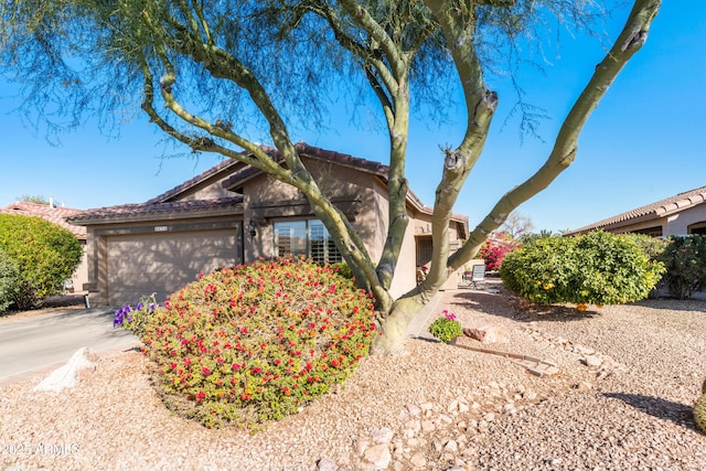 4674 E Alfalfa Dr, Gilbert, AZ 85298 - view of front of property with an attached garage and stucco siding