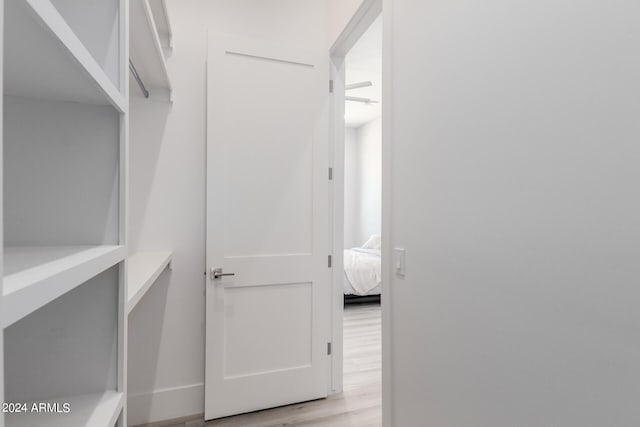 walk in closet with light hardwood / wood-style flooring