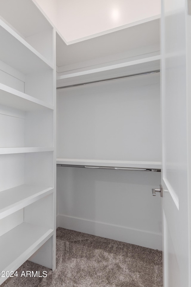 spacious closet featuring carpet