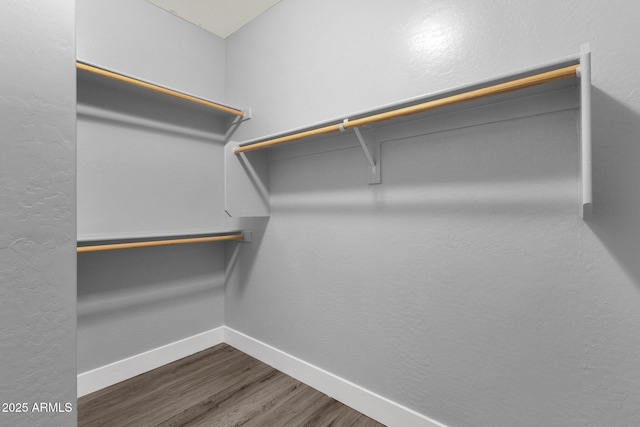 21616 E Calle De Flores, Queen Creek, AZ 85142 - walk in closet with wood finished floors