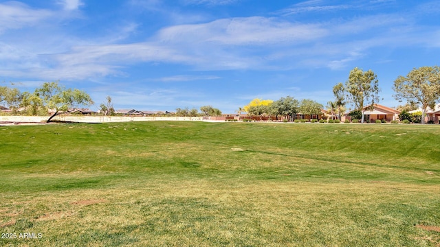21616 E Calle De Flores, Queen Creek, AZ 85142 - view of yard