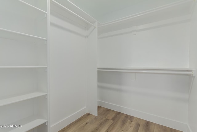 spacious closet featuring light hardwood / wood-style flooring